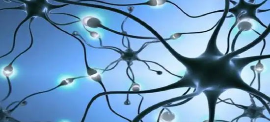 Selank 500mcg | Shaanxi BLOOM Tech Co., Ltd Selank 500mcg | Shaanxi BLOOM Tech Co., Ltd