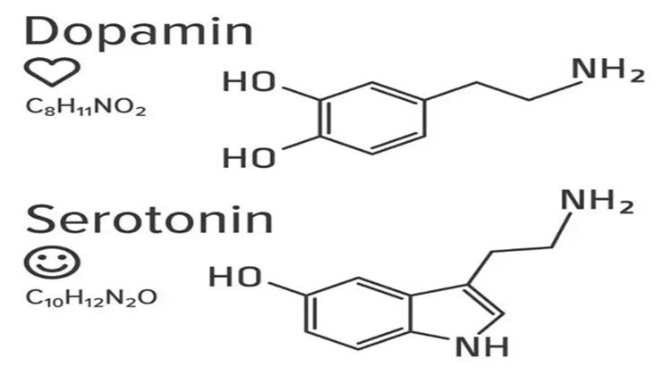 Selank Online | Shaanxi BLOOM Tech Co., Ltd Selank Online | Shaanxi BLOOM Tech Co., Ltd